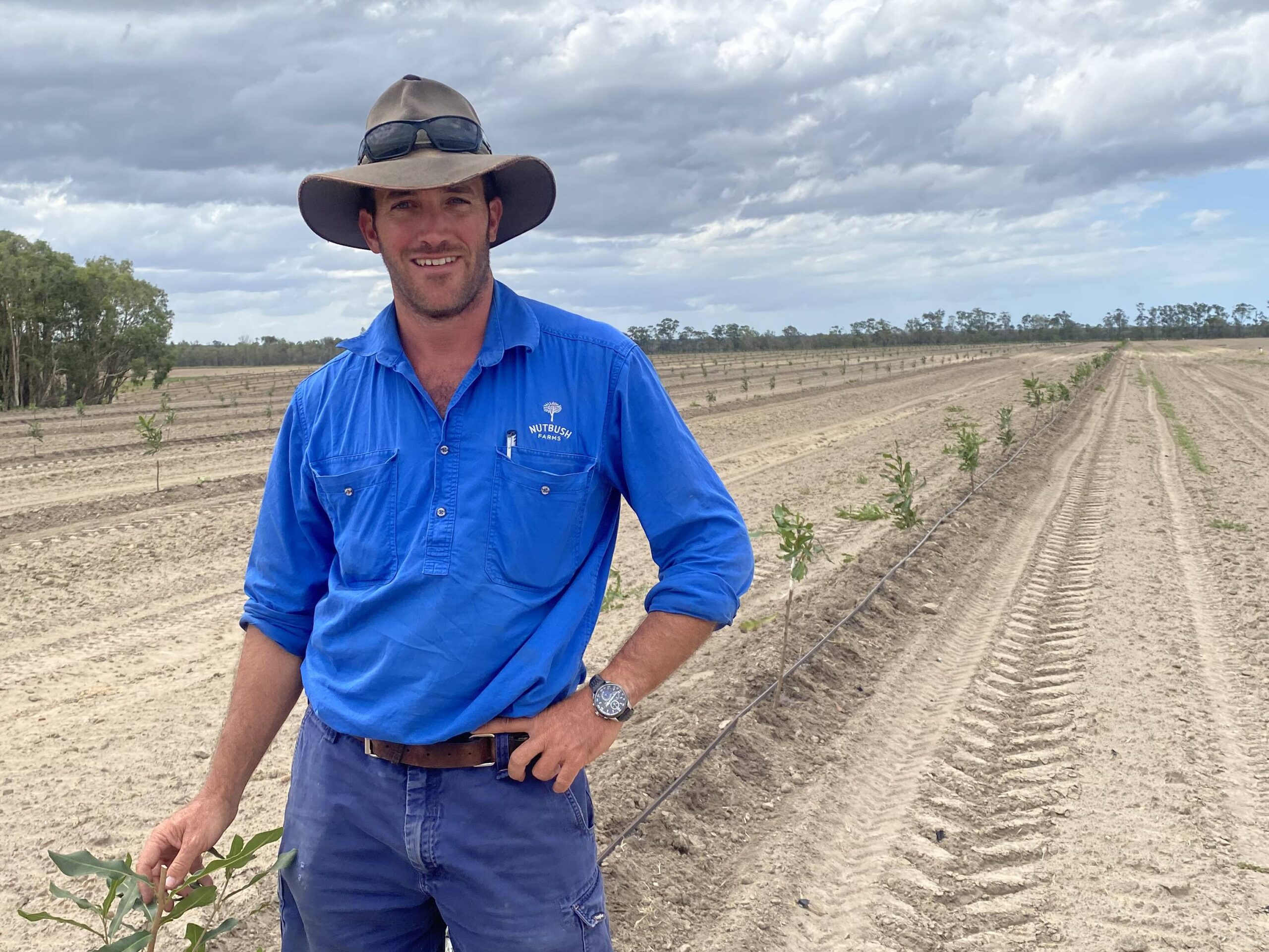 McCrystal Ag Services Boosts Productivity in Successful Pruning Project at Nutbush Farms